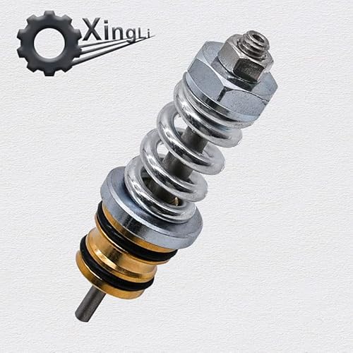 Xingli 310924003 Unloader Valve Kit Suitable For Coleman Powermate Fit For Simpson High Pressure Washer Pumps #TOP1
