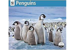 WWF 2025 Wall Calendar Featuring Penguins