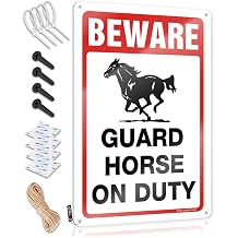 THC    ! Guard Horse On Duty          20X30CM
