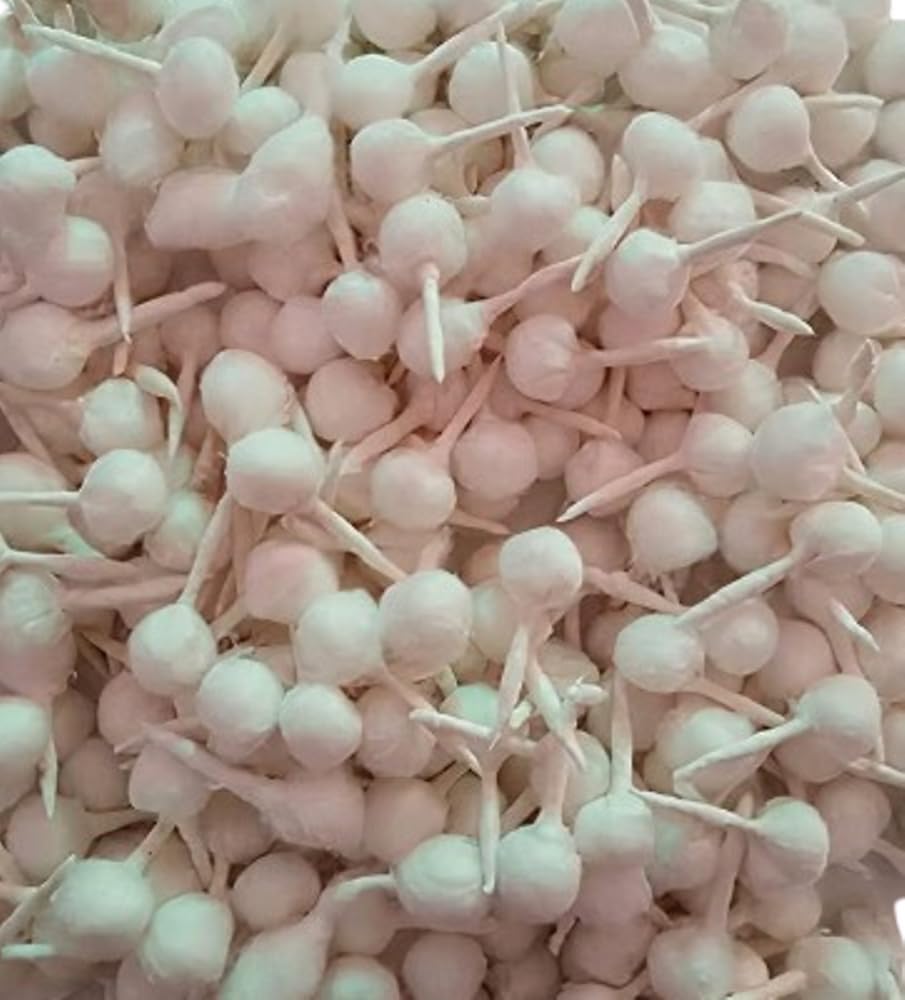 Phool Batti Round Cotton Wicks | Round Cotton Wicks for Pooja | Rui Batti, GOL Batti for Diya | Aarti, Navratri, Mandir, Home Décor, Meditation & Spiritual Prayers-image-47