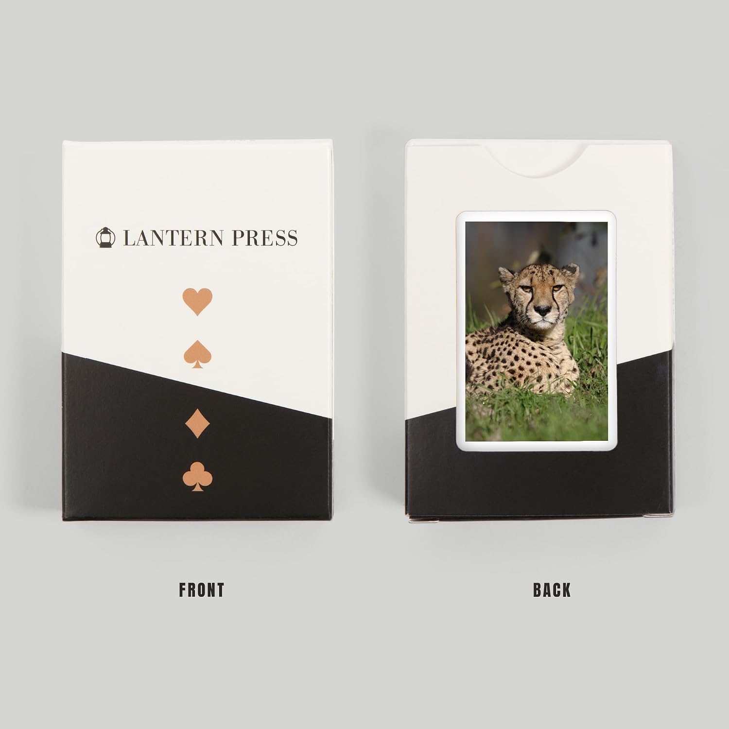 Lantern Press Cheetah in Grass, 52 Playing Cards for Adults, Poker Size Card Deck