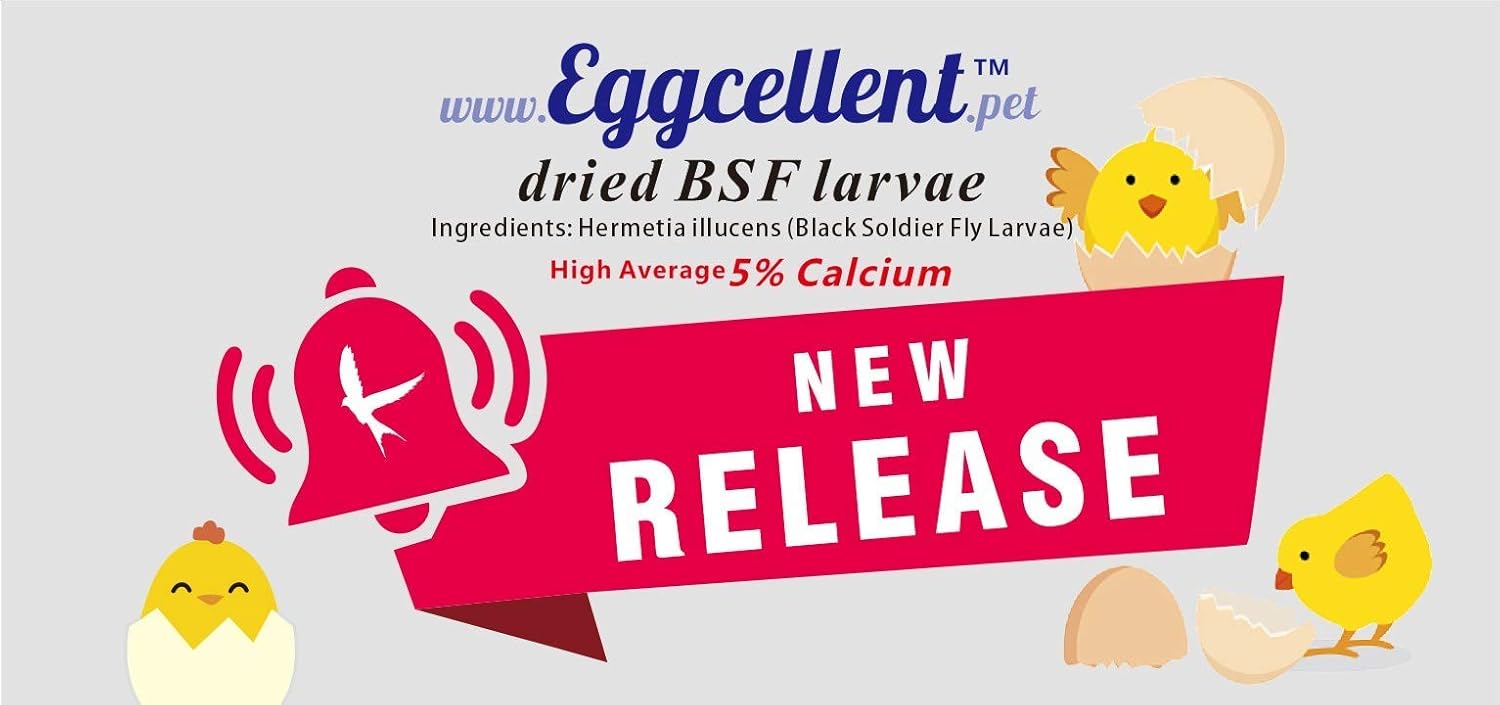 Combo Pack of 2 Natural 1.1Lbs Dried BSF Larvae, More 90X Calcium Than Mealworms, Poultry Feed with More Balanced Calcium Fortified for Laying Eggs of Chicken, Birds, Extra .2 Pound Bonus, 35 Ounce