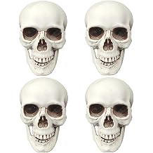 CUNHUYSmall Skulls Halloween Decor, 5 Inch Plastic Fake Skeletons, Mini Skulls for Crafts Outdoor Halloween Decorations, Realistic Miniature Human Skull Heads 4