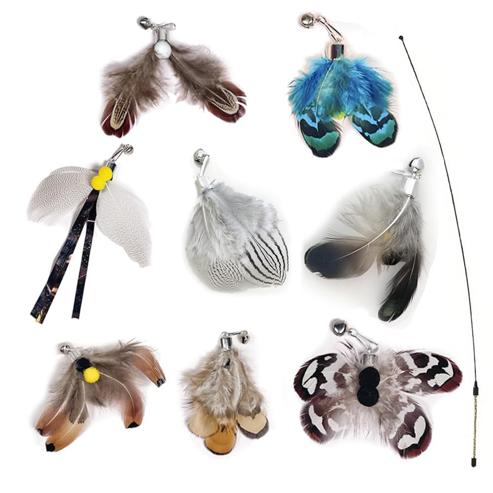 Cat Feather Toy Wand with Replacement Heads - Interactive Indoor Cat Toys (8pcs Refills), Set of 8 Insect Heads with Bells