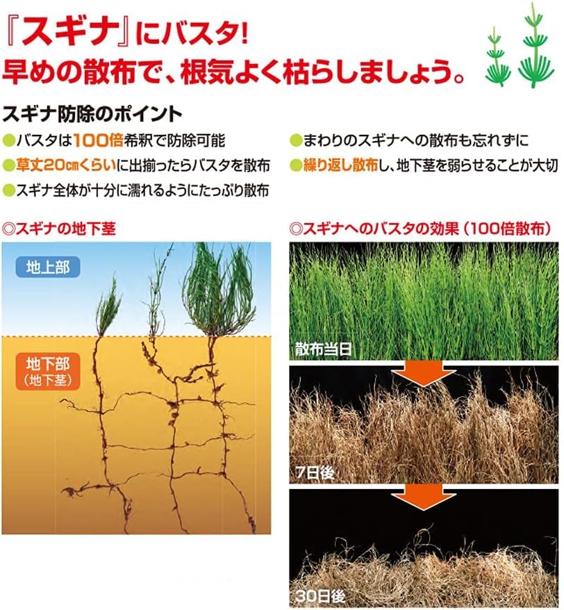 京焼 小栗龍靖作 色絵金彩 仁清写 七宝絵 数茶碗 九客 時代箱 MR8791B