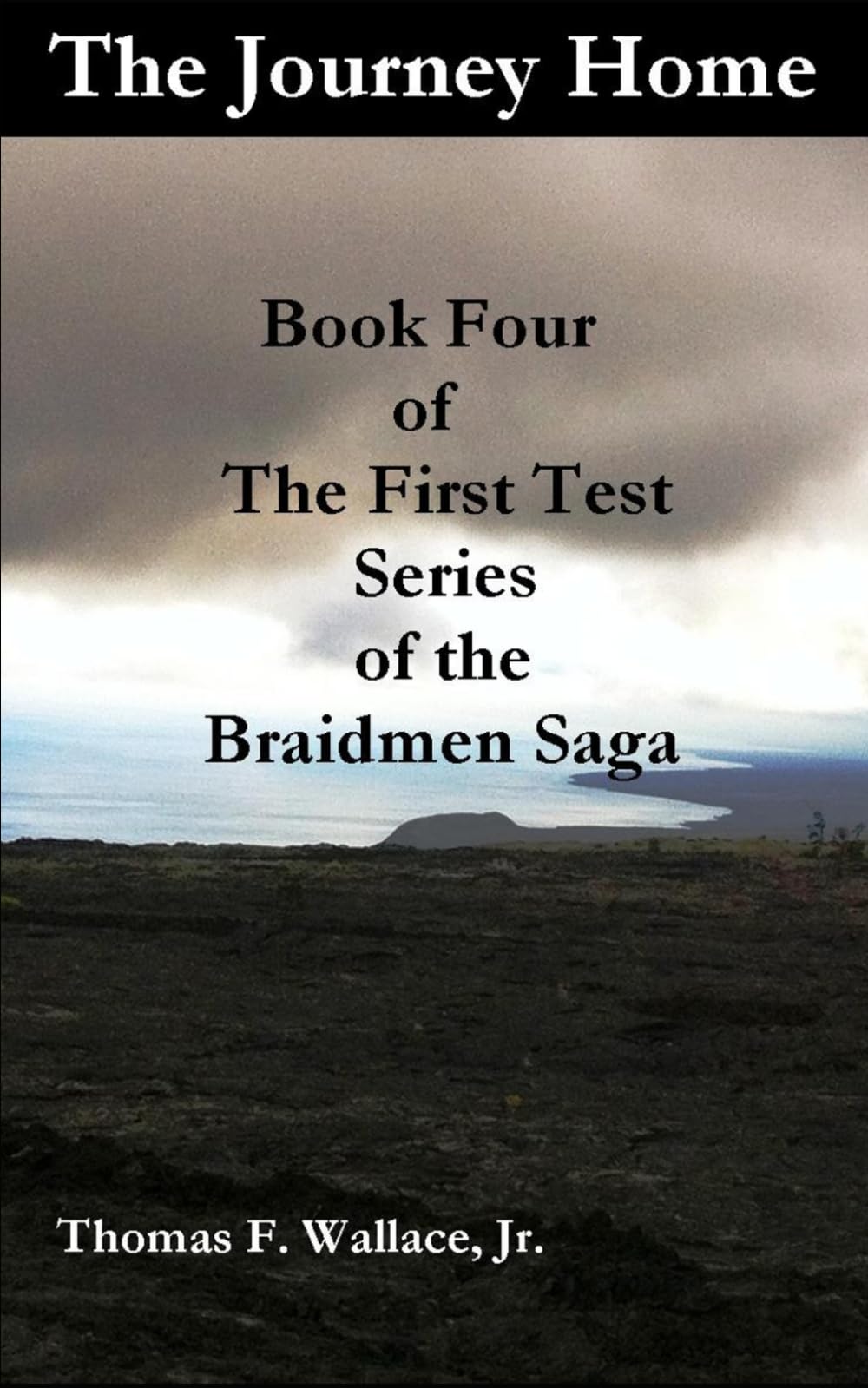 The Journey Home: Book Four of The First Test series of the Braidmen Saga
