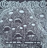 CARNAGE - The Day Man Lost LP (black Vinyl) (Reissue) [Vinyl LP]