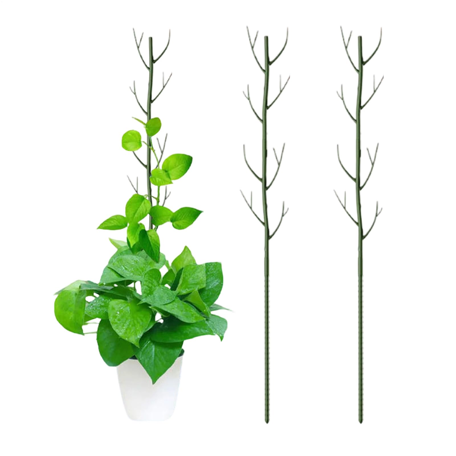 Treillis pour Monstera et pothos : tuteur empilable pour pot de fleurs