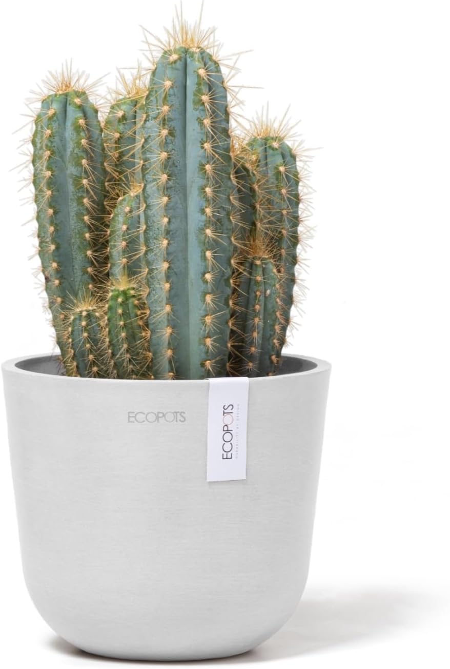 Ecopots Oslo Mini Durable Modern Round Indoor/Outdoor Recycled-Based Composite Flower Pot Planter, Pure White, 6"