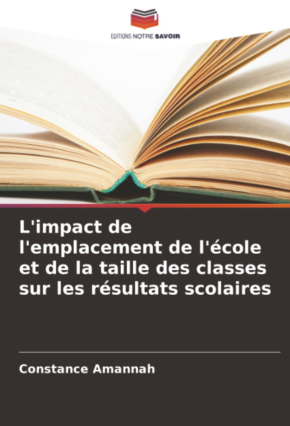 L'impact de l'emplacement de l'école et de la taille des classes sur les résultats scolaires