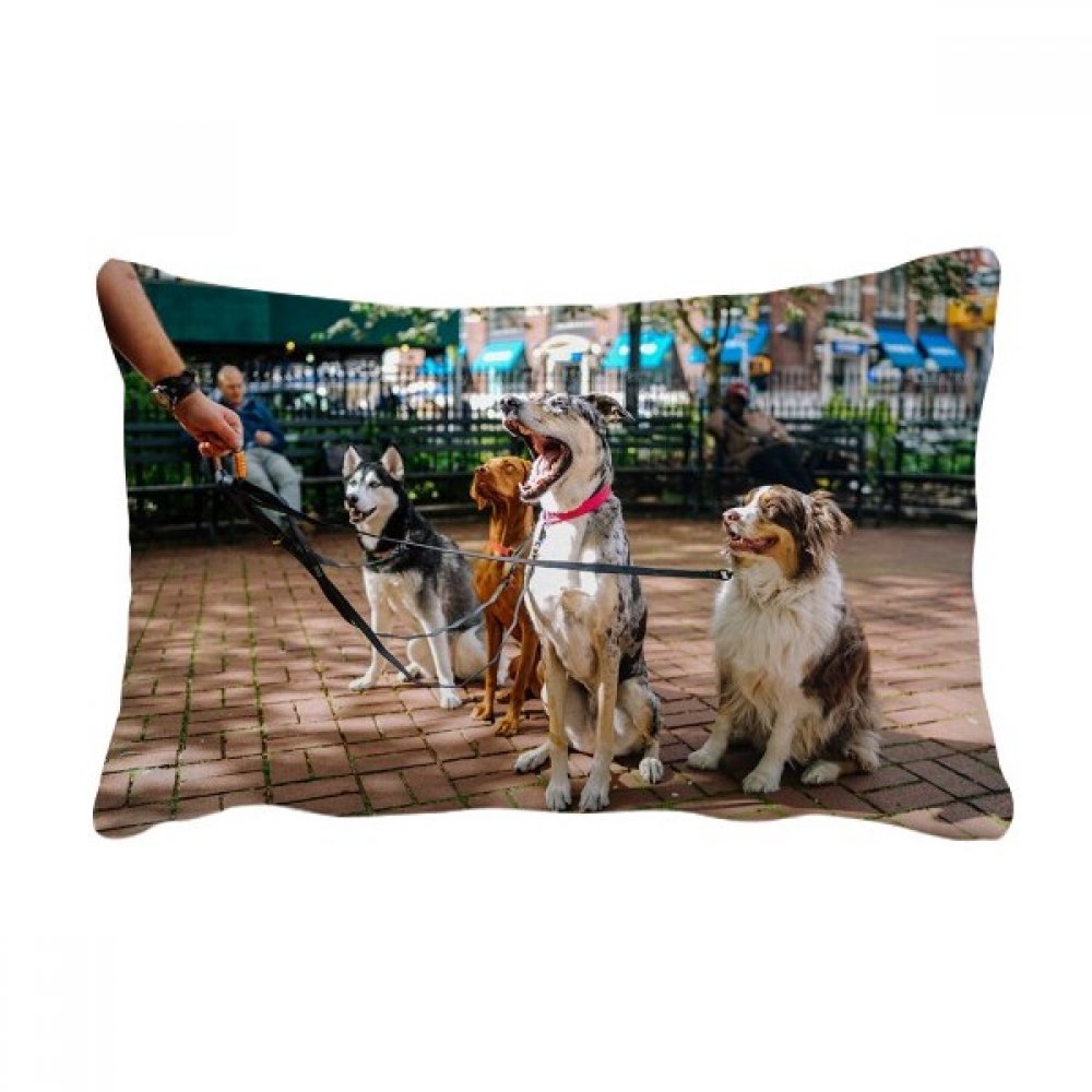 Coussin oreiller lombaire de salon pour soulager le dos sur le canapé