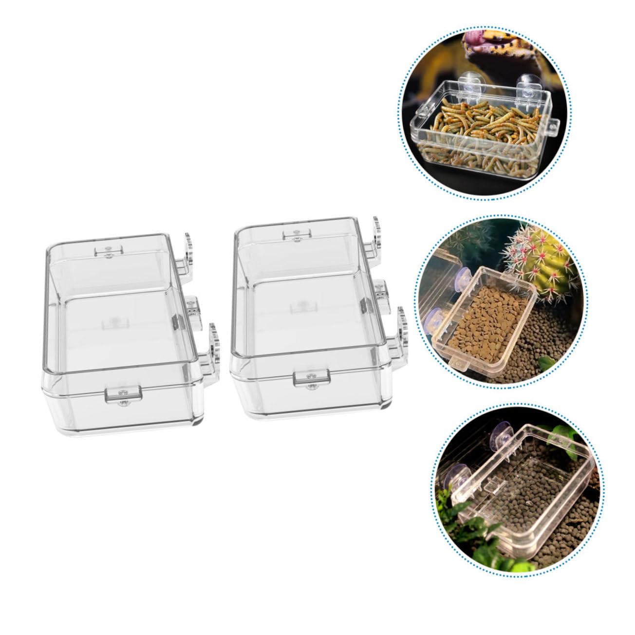 Angoily 6pezzi Ciotole per Alimentazione Rettili con Ventosa da Mangiatoie Trasparenti per Lucertole e Tartarughe Facili da Pulire e Pratiche per Uso Terrario