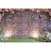 Maijoeyy 7x5ft Flower Backdrop Brick Wall Flower Photography Garden Backdrop for Picture Photography Props MJ-HJ02193-D1
