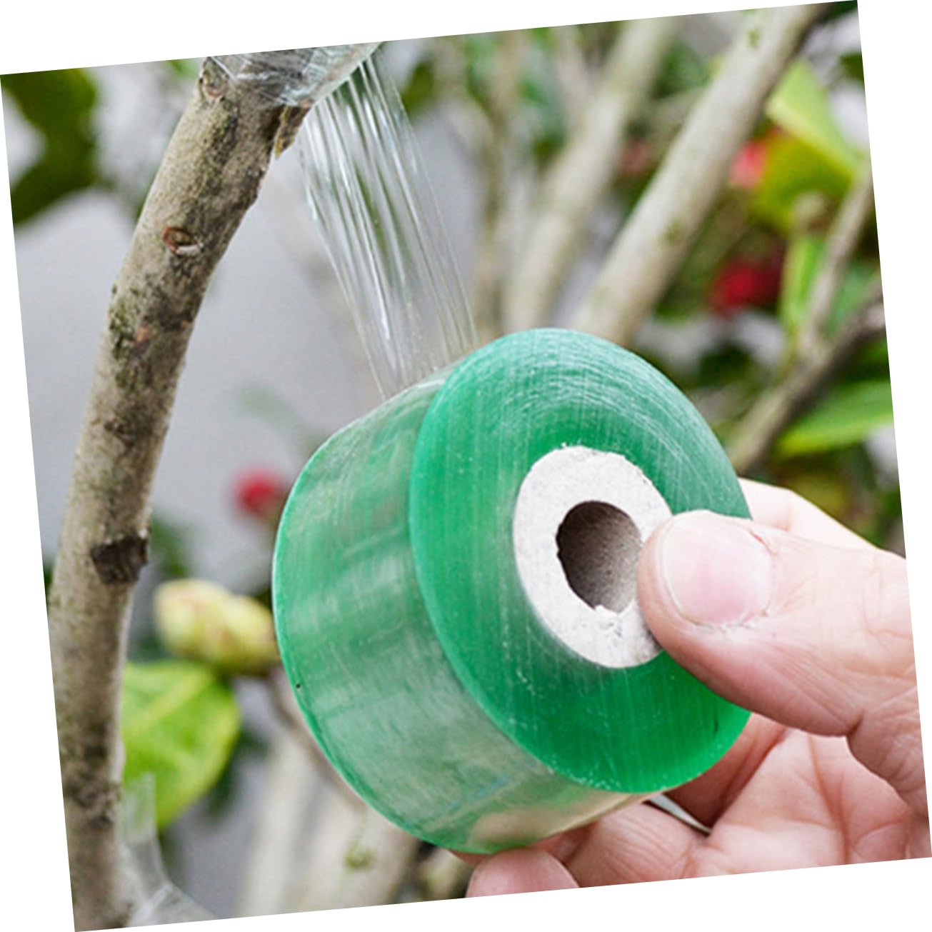 BESPORTBLE 12rotoli Nastro per Innesti Autoadesivo da Film per Innesto di Piante Impermeabili Flessibili e Traspiranti per Giardinaggio e Floricoltura