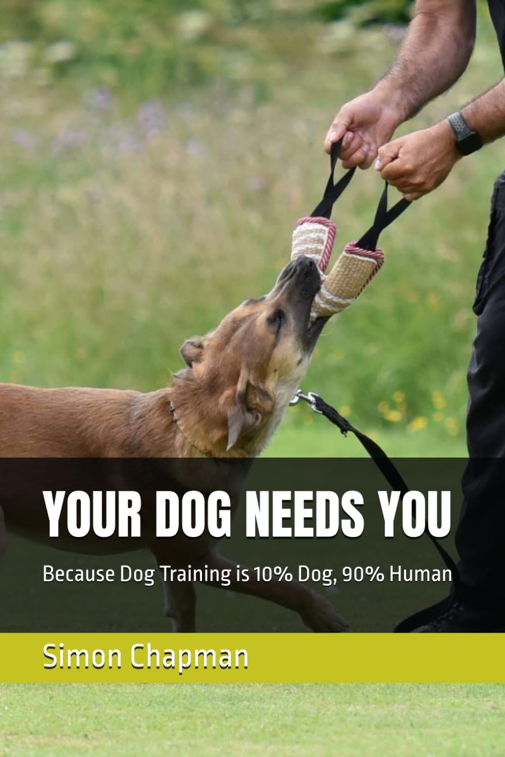 YOUR DOG NEEDS YOU: Because Dog Training is 10% Dog, 90% Human