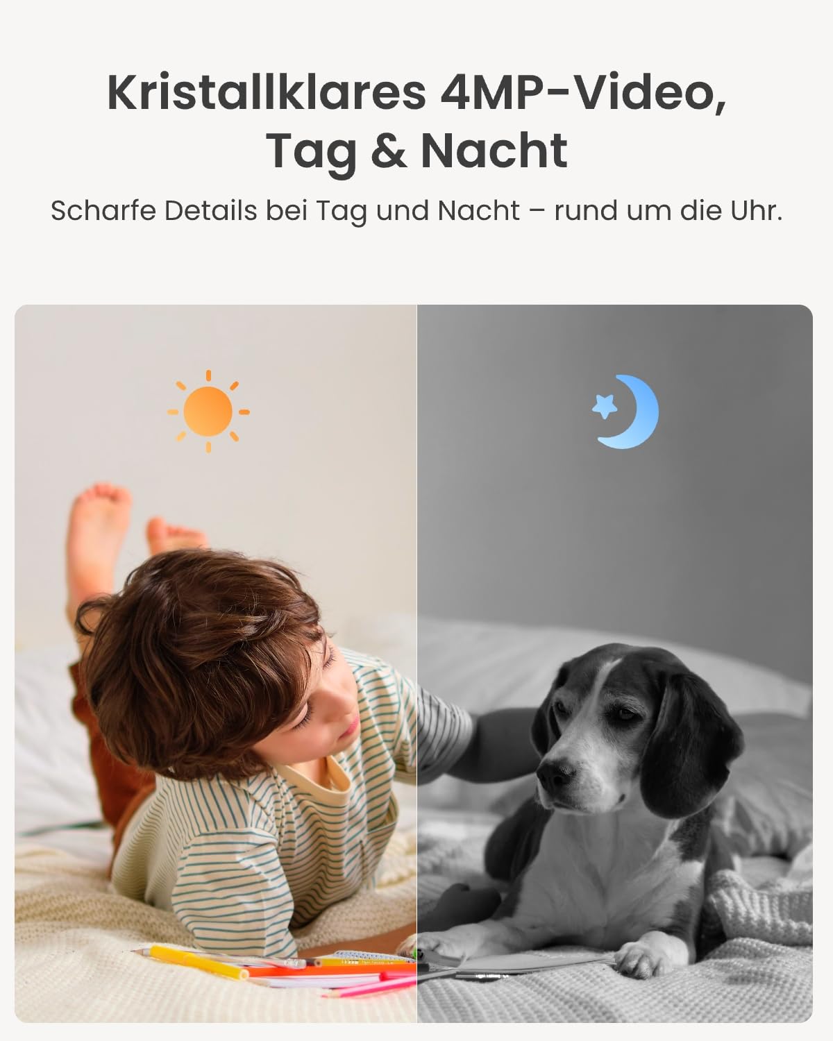 Reolink Smart Indoor Sicherheits-Bundle: 2× E1 4MP 2K Innenkamera mit 360°-Ansicht & Auto-Tracking + Home Hub Mini, Lokaler Speicher, Dual-Band WLAN, Verschlüsselt