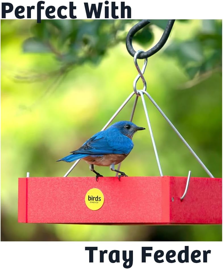 Birds Choice Black Oil Sunflower Seeds Wild Bird Food | High Protein & Fat Bird Seed | High Energy Premium Black Oil | Backyard Feeders for Attracting Bluebirds, Chickadees & Woodpeckers | 25 lbs