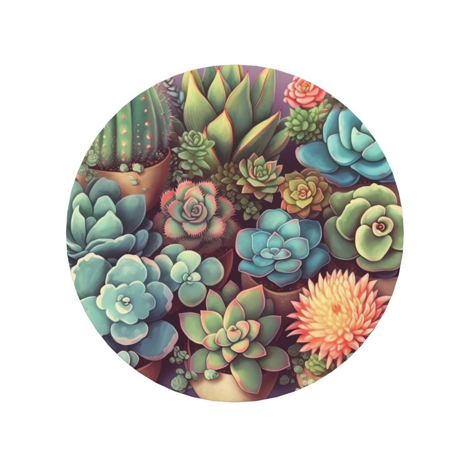 Cute Succulents Fridge Magnets Small Strong Refrigerator Magnets Cute Decorative Magnets Fridge Sticker Office Magnets for Fridge, Whiteboard, Kitchen Accessories