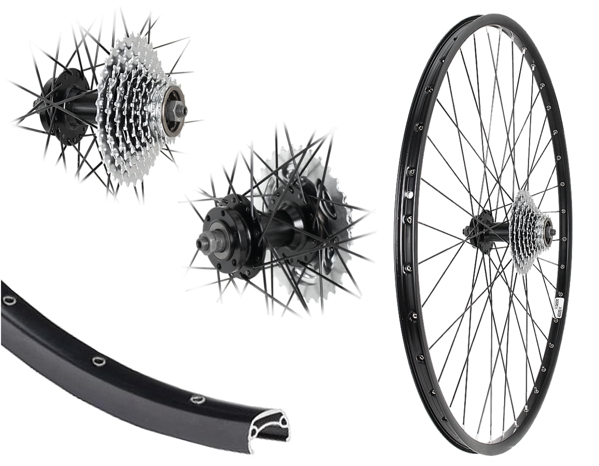 28 Zoll Alu Hinterrad MTB Laufrad 21-622 Disk | Hohlkammer, Scheibenbremse 6-Loch, 9 Fach Zahnkranz, 27 Gang