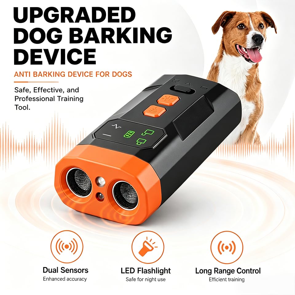 View 5