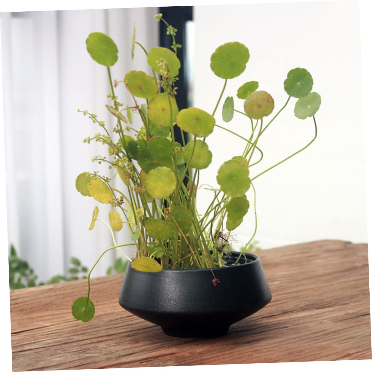 BESPORTBLE 1pezzi Vaso in Ceramica Per Fiori Contenitore Per Fiori Da Tavolo Ornamento Per Vaso Di Porta Composizioni Floreali Super Liscia Superficie Pregevole Fattura