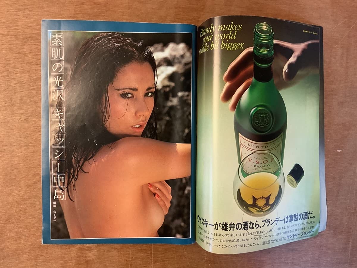 週刊プレイボーイ　51冊　まとめ売り　大量　セット 週刊プレイボーイ 51冊 まとめ売り 大量 セット - メルカリ