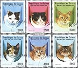 razón por tema: 1998 razas de gato