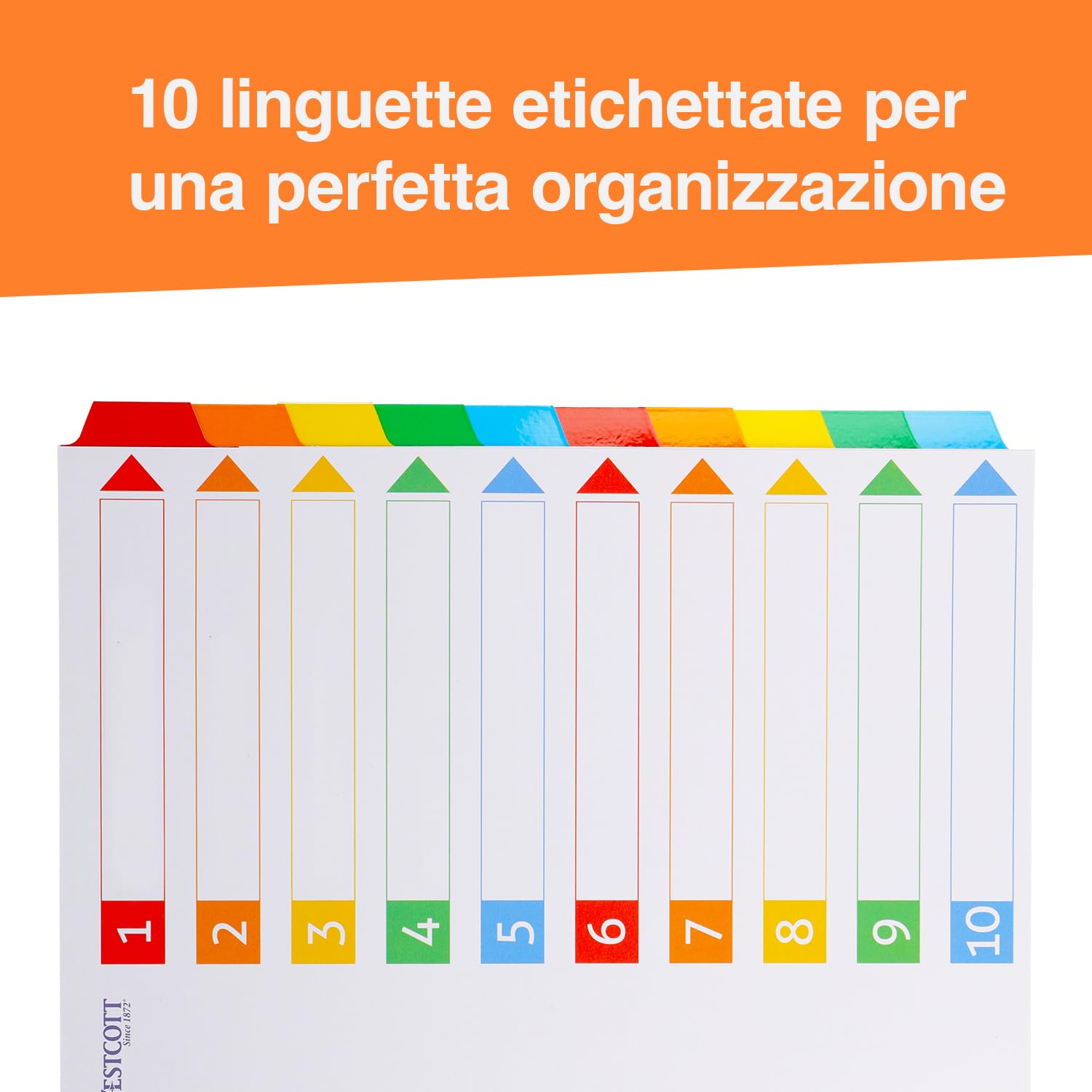 Westcott Registratore per cartelle A4 10 schede scrivibili 5 colori 160 g/m² foratura europea