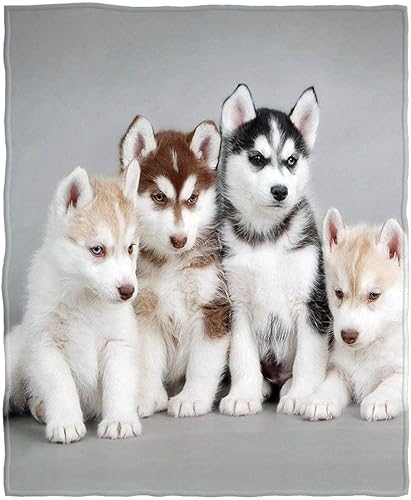 Moslion Manta suave y acogedora para cachorros perros Husky manta cálida para sofá cama para adultos jóvenes poliéster 60 x 80 pulgadas aplicable en