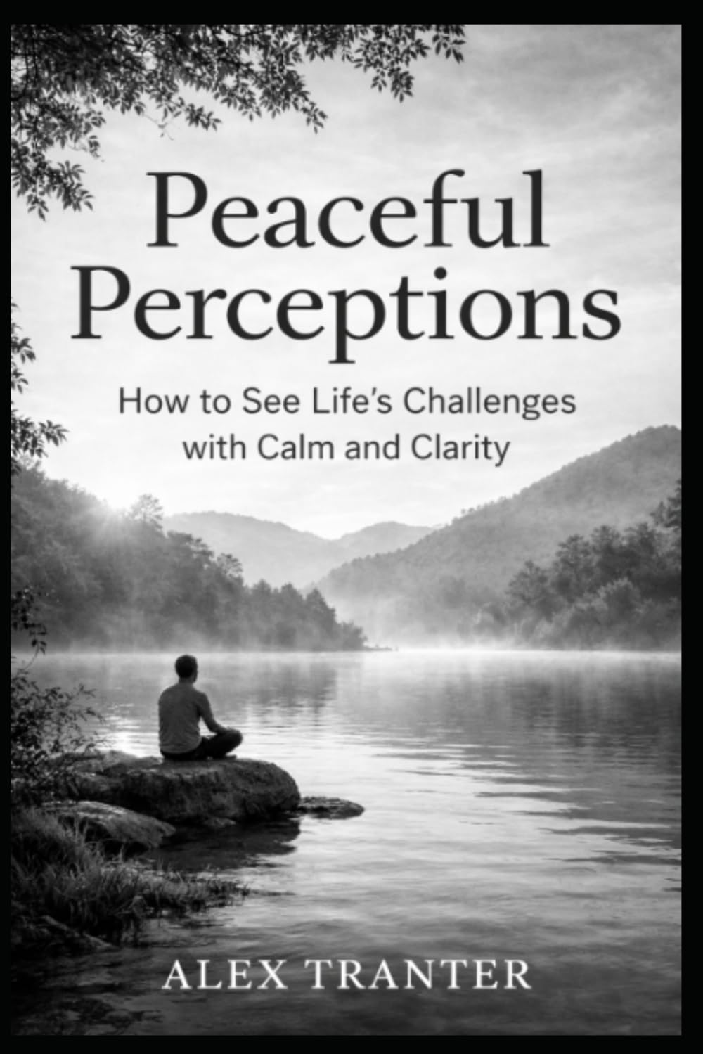Peaceful Perceptions: How to See Life's Challenges with Calm and Clarity