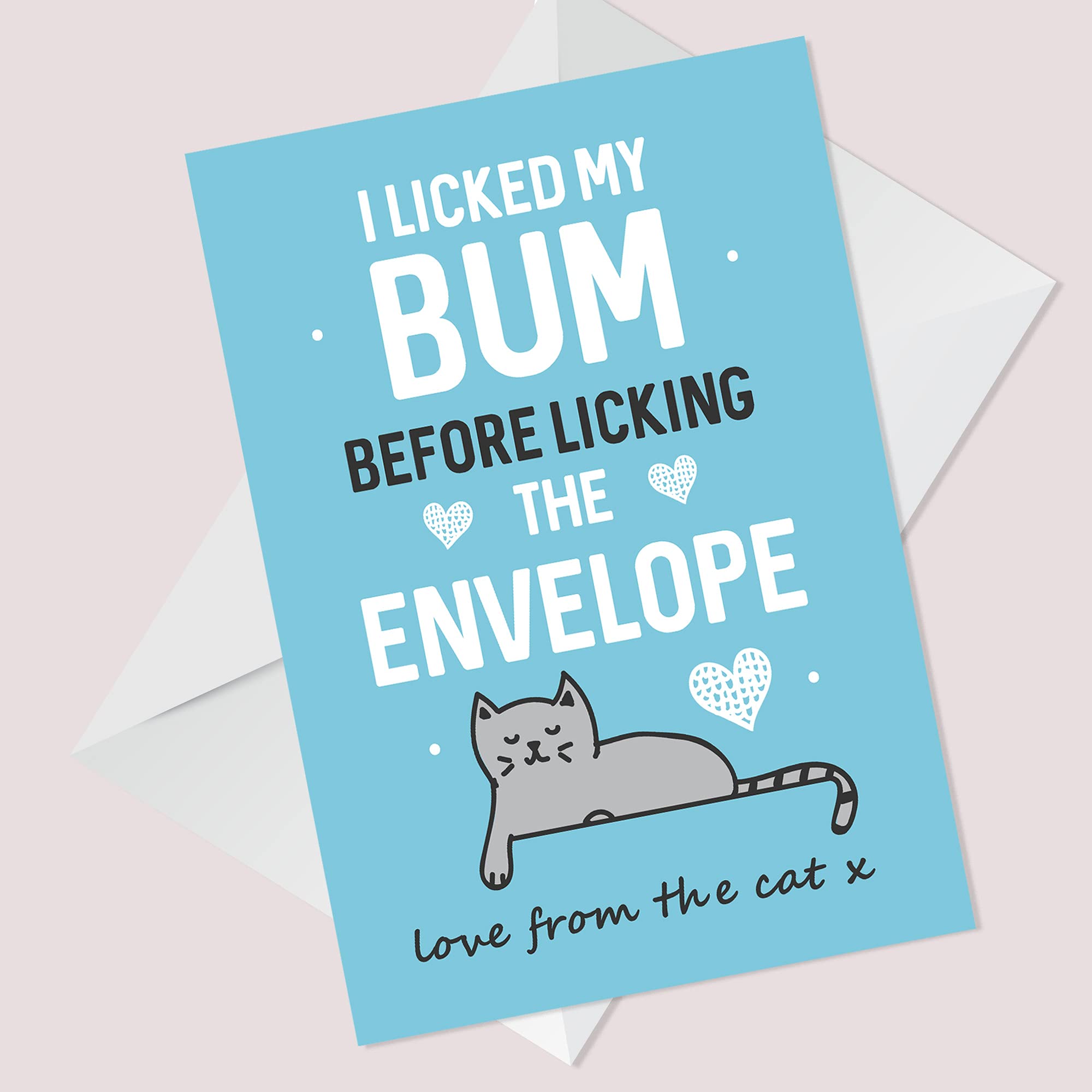 Funny 'Cat Bum' Birthday Card – 'Another Year Older' – Handmade UK Card With Envelope