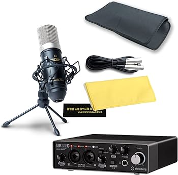 Amazon.co.jp: STEINBERG / UR22C USB3.0 コンデンサーマイクセット