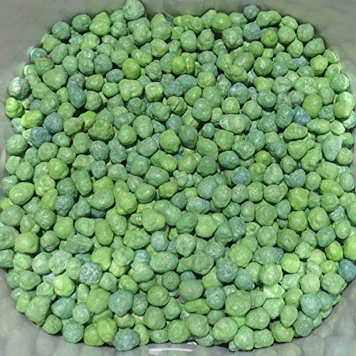Green Paradise Slow Release Fertilizer 9 Months Slow Release NPK Fertilizer 11-11-16 + Micronutrients for Bonsai and Other Garden Plants (250g pack) once applied no need to give any fertilizer for next 9 months (B08KF6CD7R) Amazon Price History, Amazon Price Tracker
