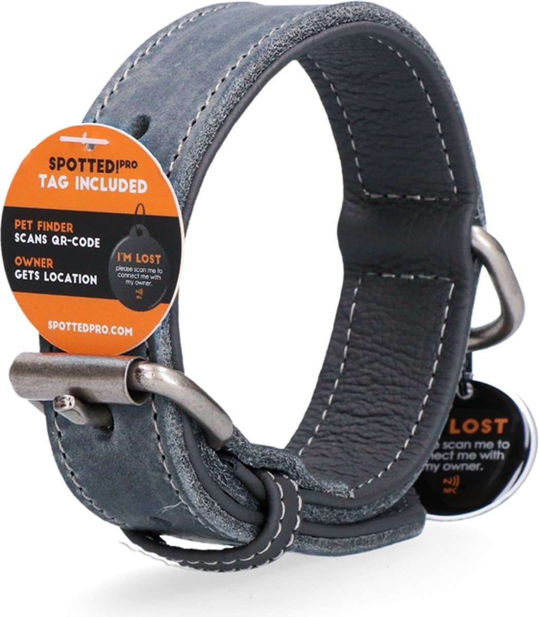 Collare in pelle – Collare per cani con pin QR – Collare con chiusura magnetica – Impermeabile – Taglia XXL – 65 cm – Grigio
