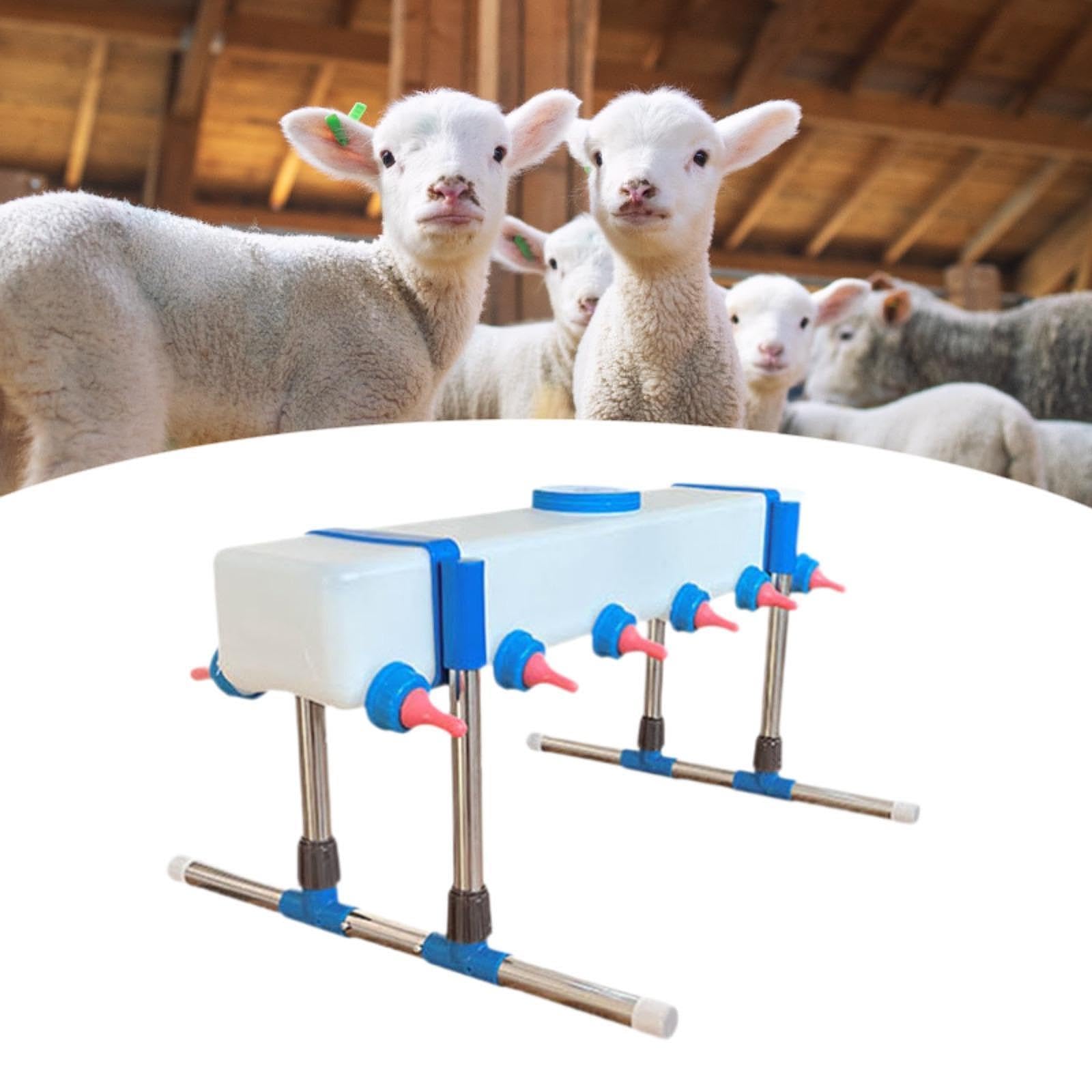 Comedero para Ganado Vacuno de Granja Lamb-firer, para El Cuidado de Animales, Cubo de Alimentación de Leche para Terneros de Granja, 12 Cabeza con Soporte