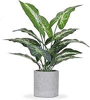 JC Nateva 16" Realistic Artificial Tropical Fake Plants - Faux Greenery for Indoor Office Desk Shelf Bathroom Home Decor