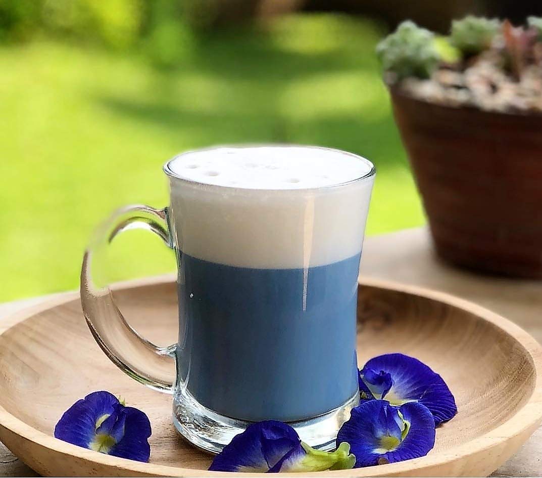 Amazon.com : BLUE TEA – Combo - Butterfly Pea Flower Tea (12 Tea