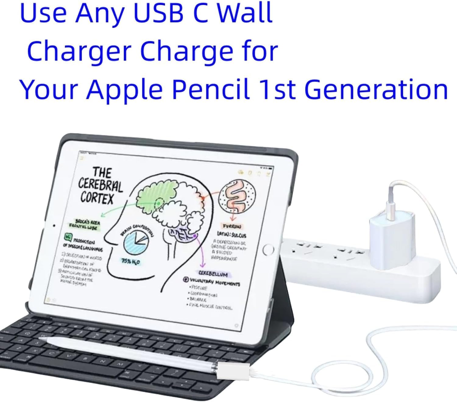Amazon.com: 適用於Apple Pencil 充電器,USB-C 轉Apple Pencil 轉接器
