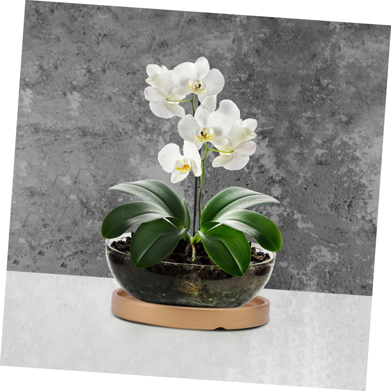 3pcs Ceramic Flower Pot Drip Trays Round Plant Saucers for Indoor and Outdoor Use Elegant Base for Bonsai and Home Decor