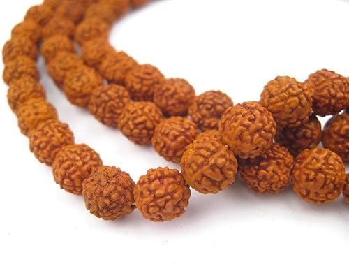 Cuentas de 0315in Rudraksha Mala  108 auténticas cuentas de Rosario de oración nepalí  El cofre de cuentas