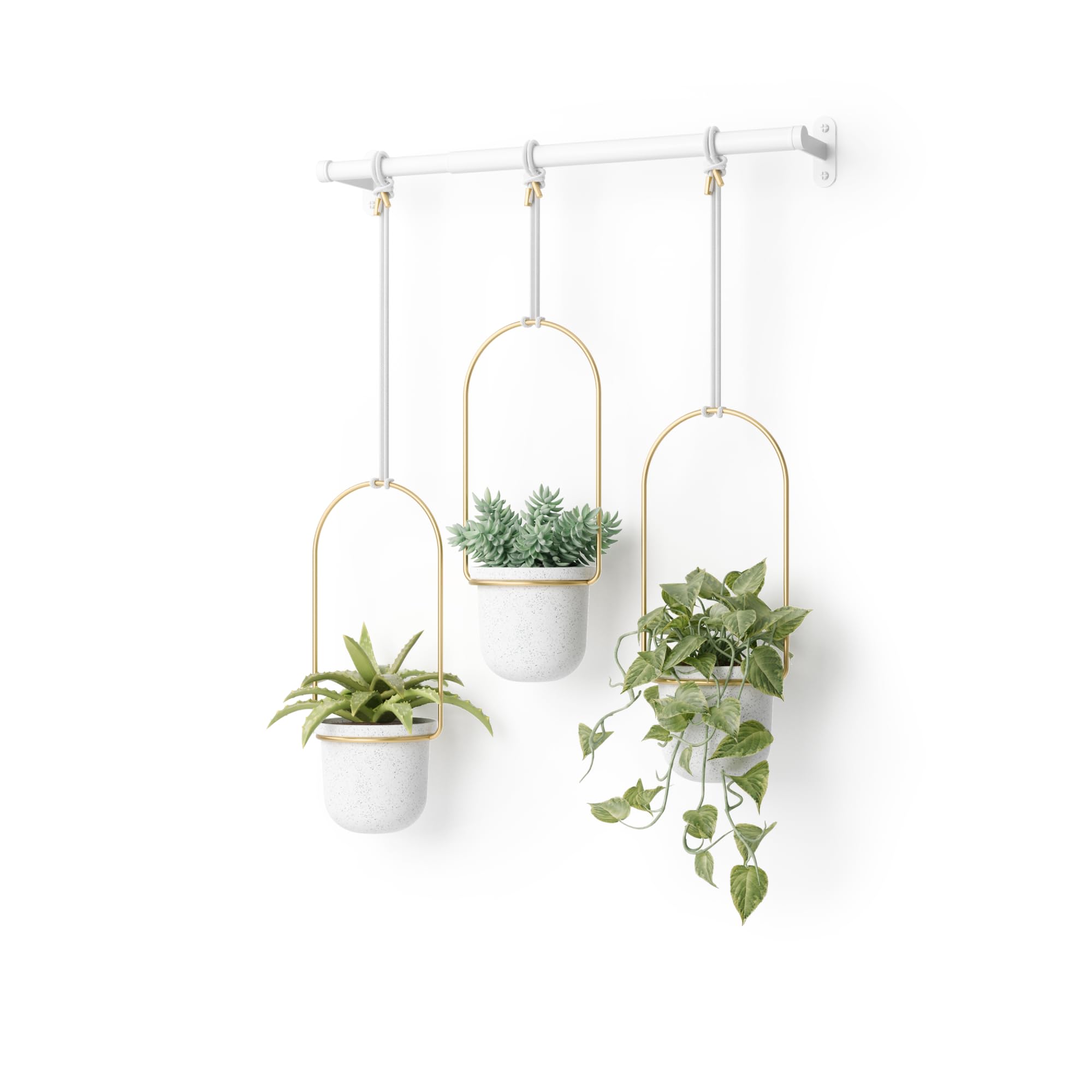 UmbraTriflora Hanging Planter For Window 42" Width 1011748-524