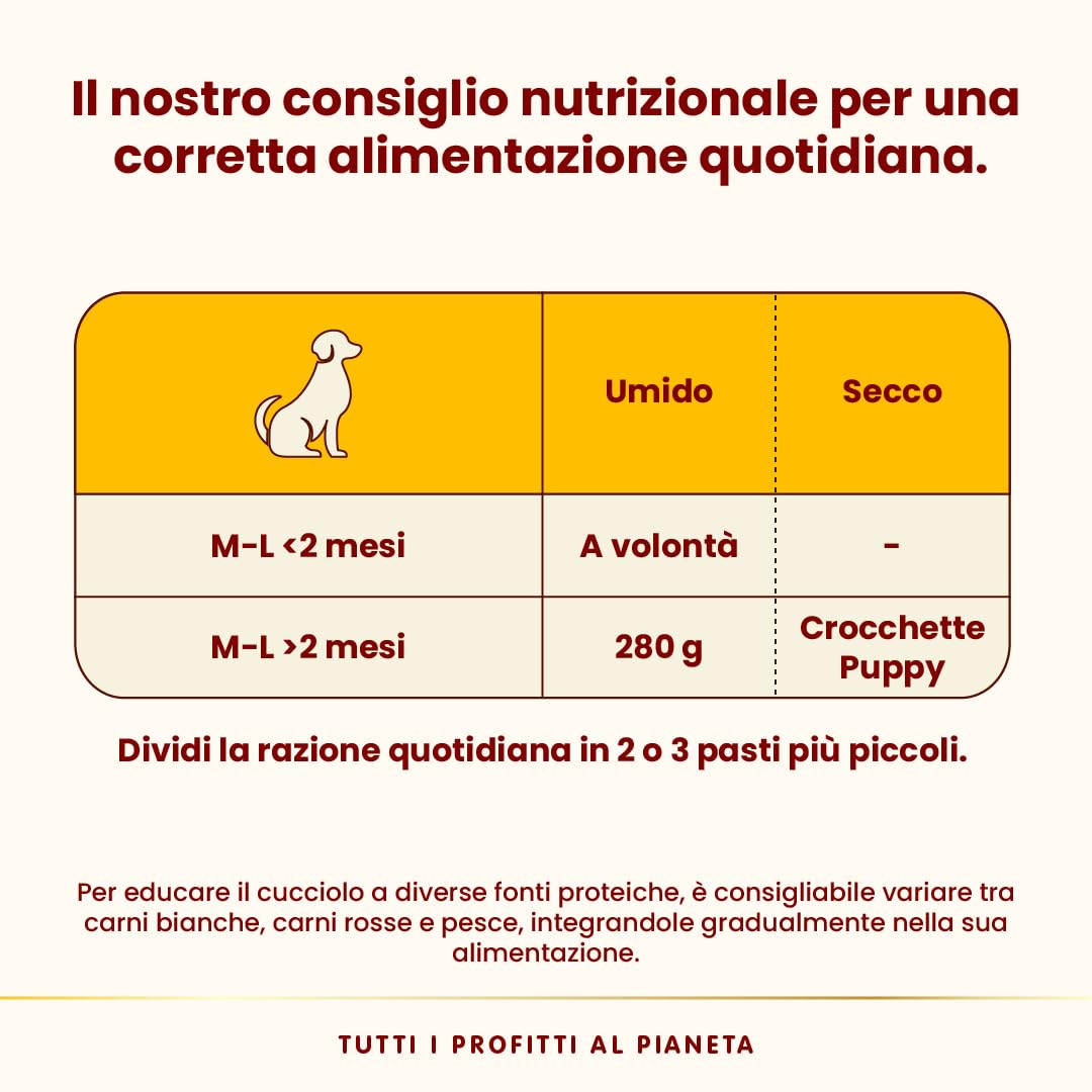 Almo Nature HFC Puppy - Alimento Umido per Cuccioli - Pollo - Qualità Human Grade, Senza Glutine, Monoproteico - 280g, Confezione da 12