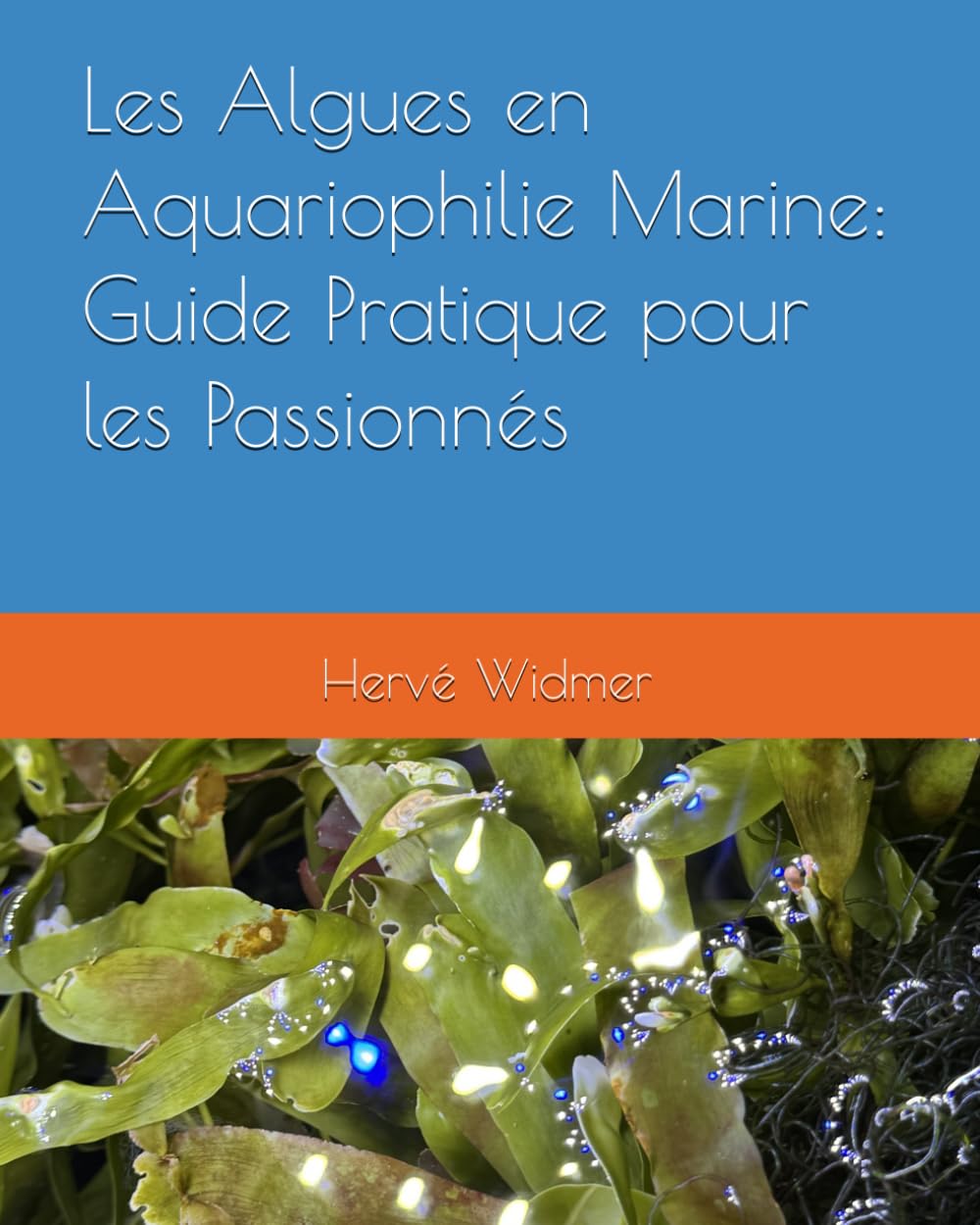 Les Algues en Aquariophilie Marine : Guide Pratique pour les Passionnés