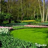 Poudre De Diatomée Non Calcinée - (Sac De 50 Litres = 20 Kg) - Terre De Diatomée À Pulvériser - Terre De Diatomées Naturelle Pour Jardin, Maison - Ph (Suspension À 10%) 7,0 - Sans Ogm - Organifer - 6