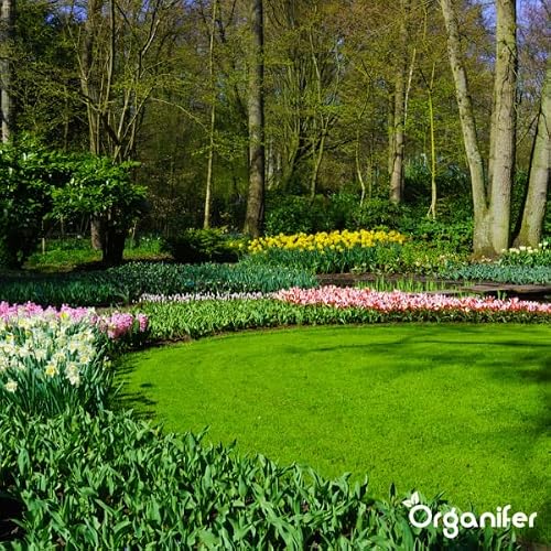 Poudre De Diatomée Non Calcinée - (Sac De 50 Litres = 20 Kg) - Terre De Diatomée À Pulvériser - Terre De Diatomées Naturelle Pour Jardin, Maison - Ph (Suspension À 10%) 7,0 - Sans Ogm - Organifer - 6