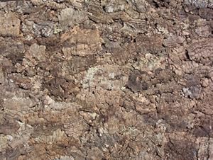 Iberia-Kork Naturkork Rückwand 60x30 cm