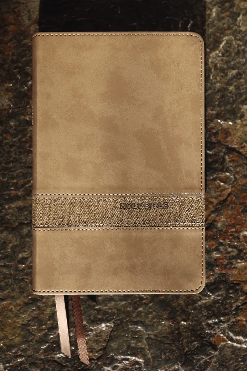NIV Teen Study Bible: New International Version, Brown, Leathersoft, Comfort Print