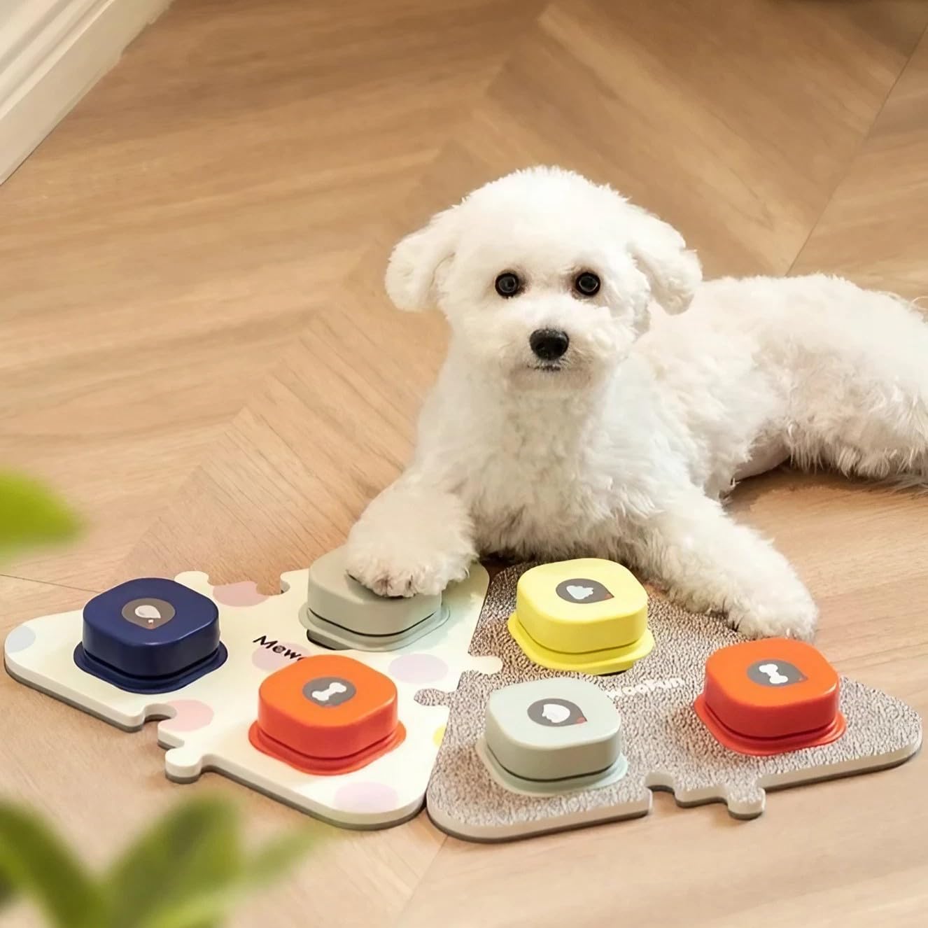 Amazon.co.jp Polaristure Conversation Button, Dog Button, Conversation