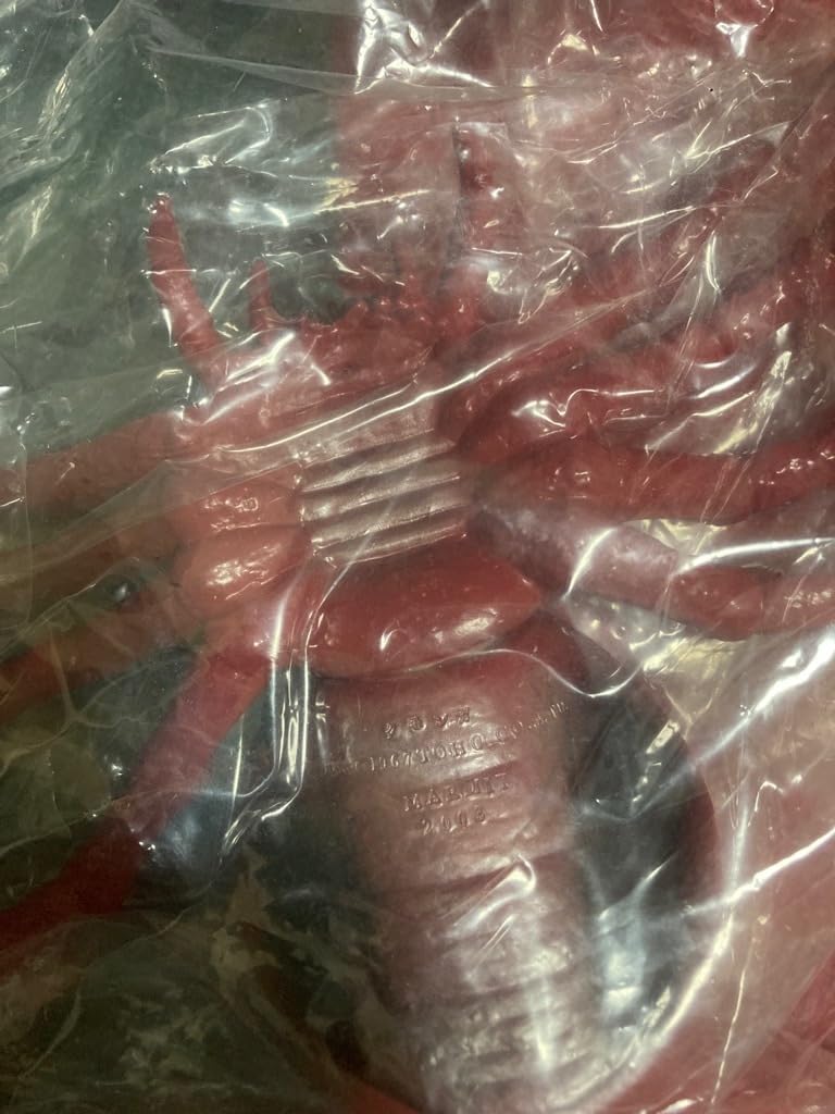 ベアモデル ソフビ マーミット グモンガ ベアモデル ブルマァク