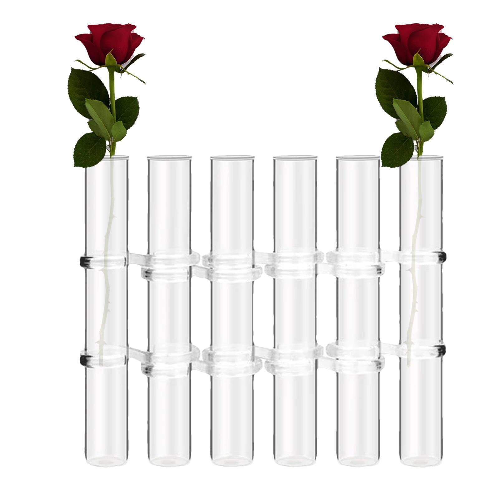 Vaso In Vetro Trasparente BESPORTBLE Per Fiori Idroponici – 20x11,5 Cm, Design Minimal Per Casa E Ufficio